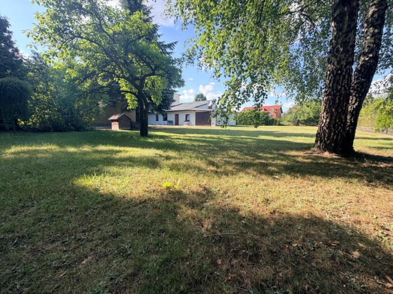 1925 m² zieleni, dwa budynki. Piotrków Trybunalski., zdjęcie 1